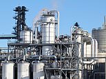 Britain's bioethanol industry facing collapse as ministers refuse bailout