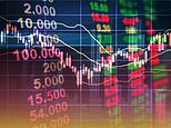 Hamish mcrae: why now could be the time to sell your shares