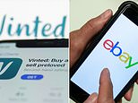 Can hmrc see how much i sell on vinted and ebay? tax expert issues warning