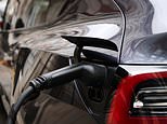 Used electric car sales triple in two years as plunging prices make second hand evs 'more attractive'
