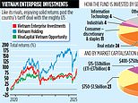 Vietnam enterprise investments: growth push could see strong returns for footsie trusts