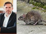 Rats are coming in from our neighbours' garden what can i do? lawyer dean dunham replies