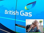 British gas says i missed £375 bill payment, but i haven't now my credit score has crashed: sally sorts it