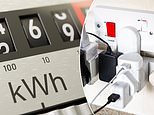 Your energy bills are about to soar to £1,755 these seven ingenious tricks by experts can cut that in half... and no you haven't read these all before