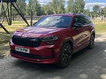 Ray massey: skoda's powerful kodiaq is an ideal family roadtripper