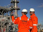 North sea firm wood group agrees cut price sale