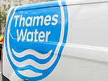Uk bidder in last ditch tilt for thames water