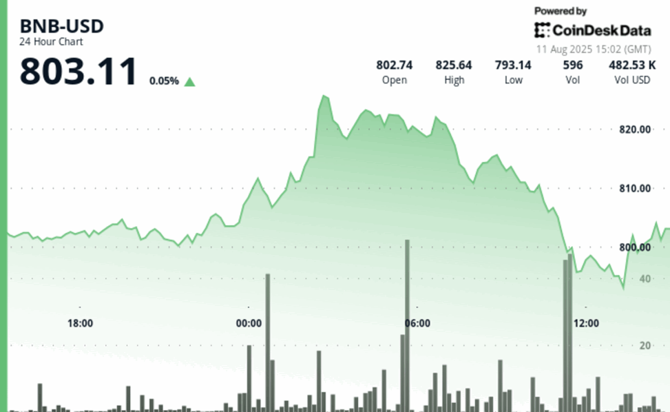 Bnb swings 4% in 24 hours, testing $800 resistance