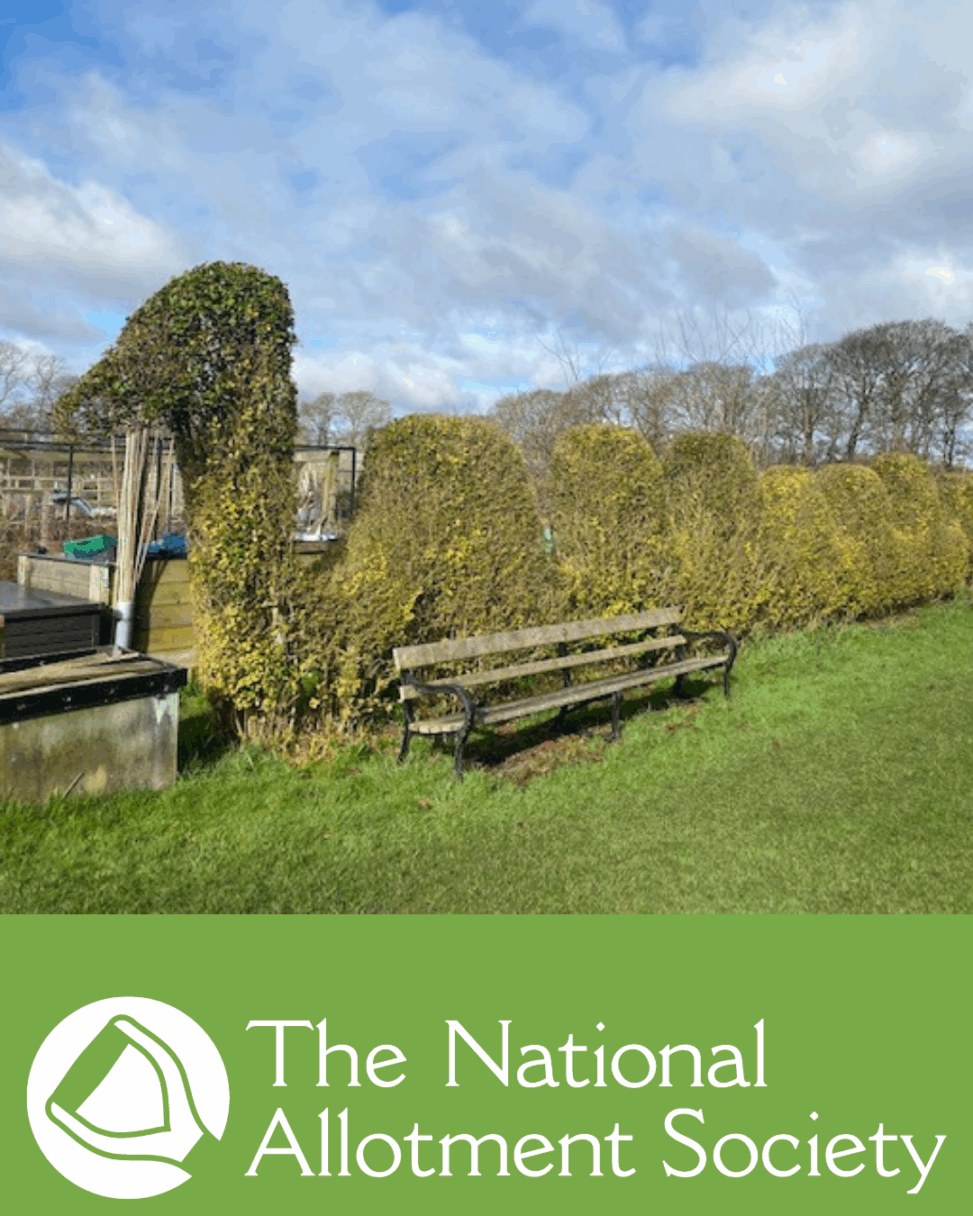 National allotment society responds to reports of 'war on allotments'
