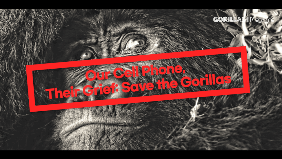 Tarzan, king of the jungle, appears in new york the sad eyes of a gorilla shake up times square