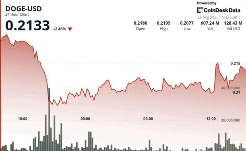Dogecoin jumps to 21 cents despite $200m whale transfer to binance