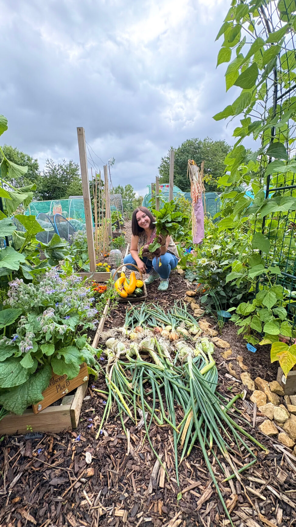 From spuds to strawberries: survey reveals the uk’s most loved allotment crops