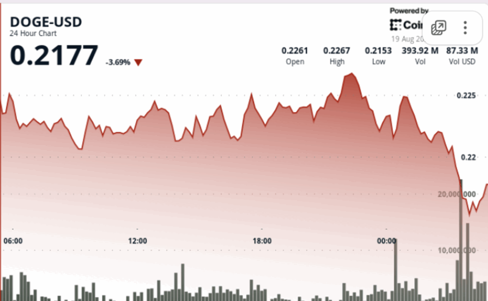 Doge tests 22 cent support as $782m volume unleashes stop loss cascade