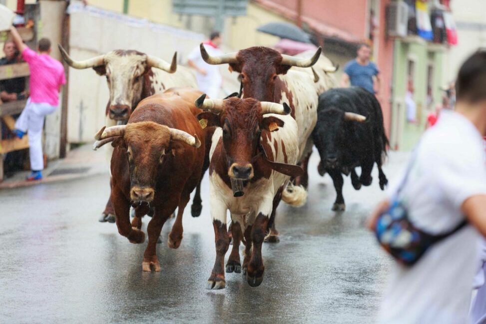Bitcoin tops $116k as bullish signals spur confidence: crypto daybook americas