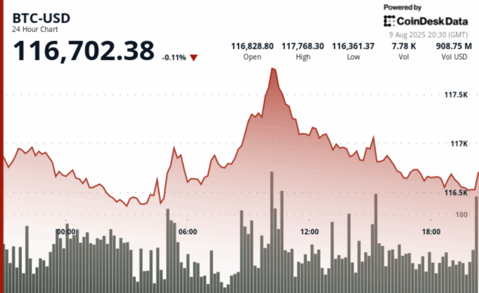 Bitcoin trails gold in 2025 but dominates long term returns across major asset classes