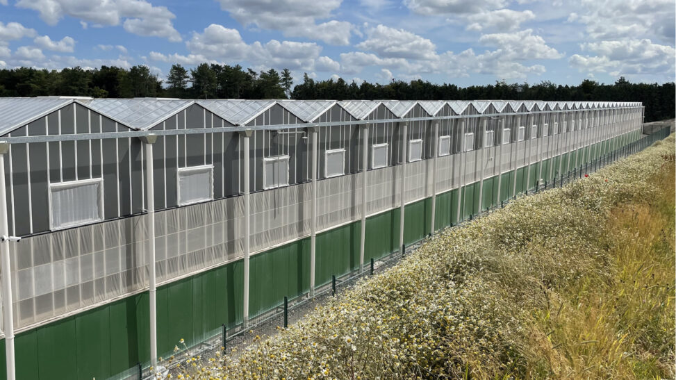 Glass pharms® announce supply agreement with cb1 medical and ecocann® access product range