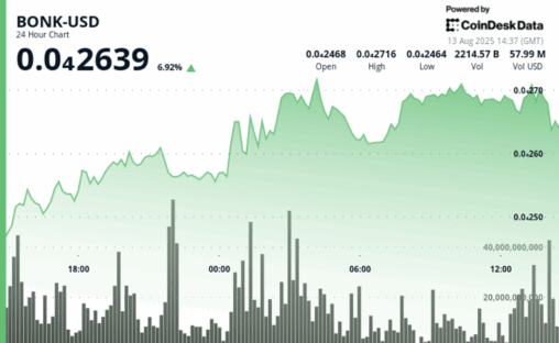 Bonk jumps 10% to $0.000027 before profit taking hits