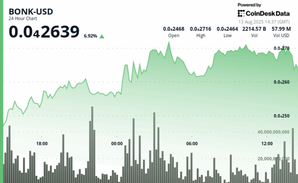 Bonk jumps 10% to $0.000027 before profit taking hits