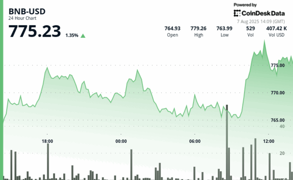 Bnb climbs then retraces amid $500m treasury push