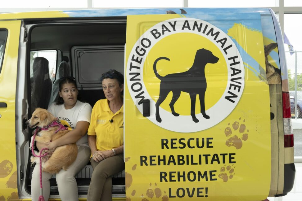 Cheltenham based charity awards £10,000 to tackle global animal welfare issues