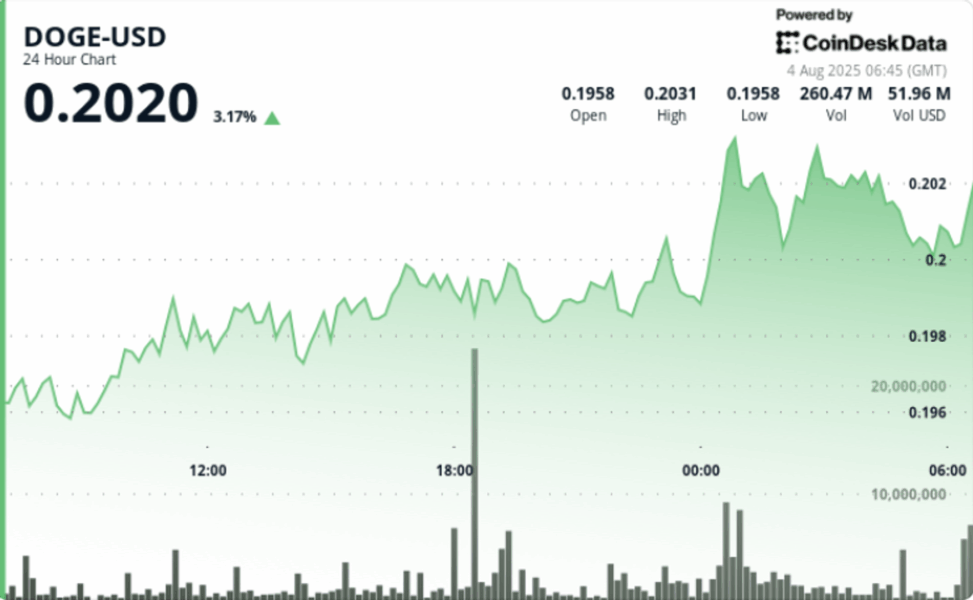 Doge rally stalls at 20 cents, but large holder activity flashes bullish signs