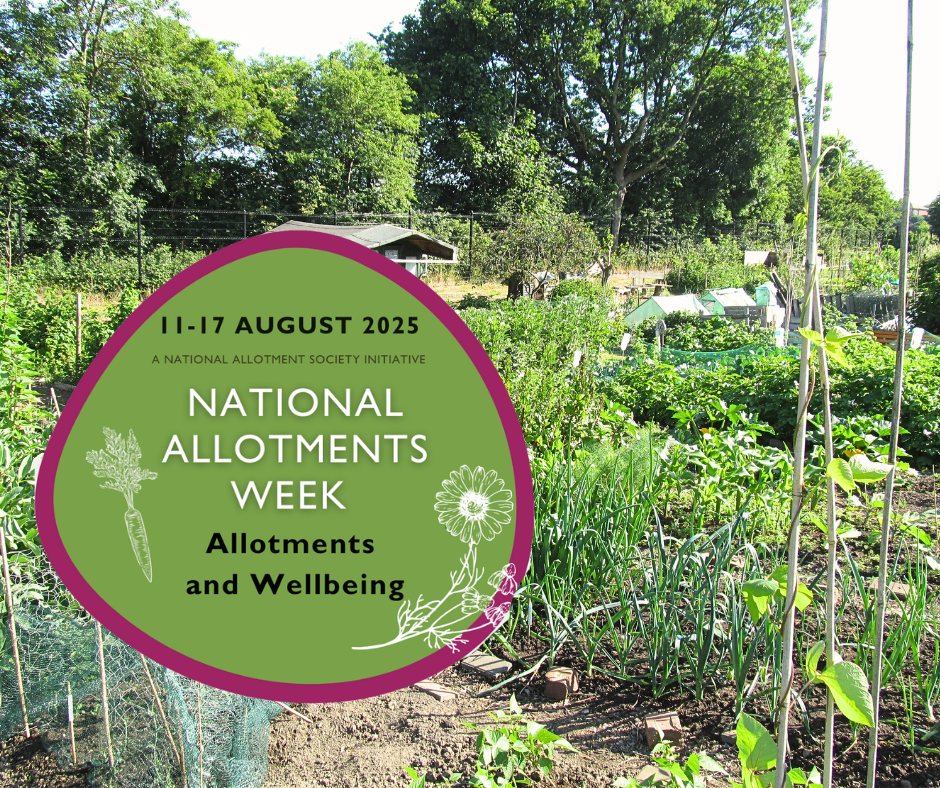 More than a patch of soil – allotments proven to boost mental, physical and social health