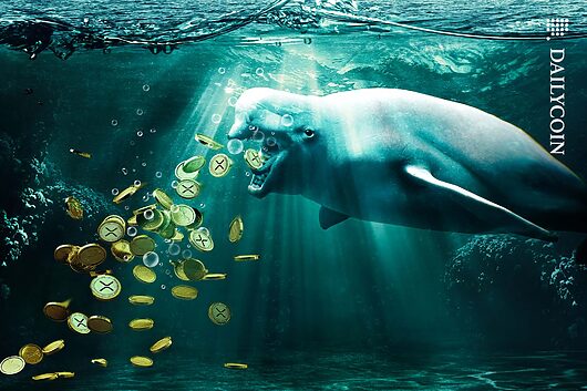 $60m xrp coin move stirs chaos: exit liquidity or power play?