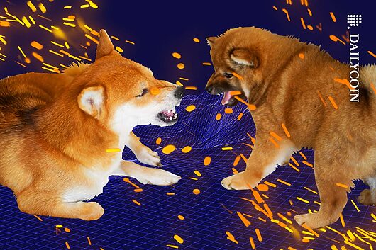 Shib army split on leadership: will it boost or sink shiba?