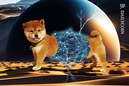 Shiba inu (shib) dev maps out cross chain expansion
