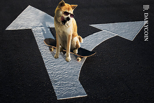 Shiba inu aims for 156% uptick: is this divergence key?