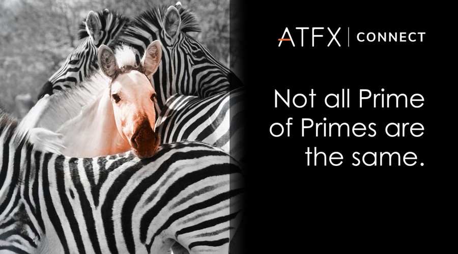 Not all "prime of prime" brokers are created equal.