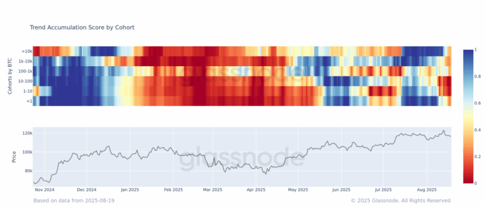 All bitcoin wallet cohorts now in distribution mode, glassnode data