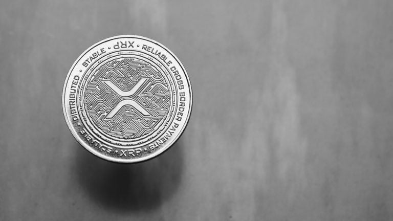 Bitso report: xrp rises as a dark horse in latam portfolios