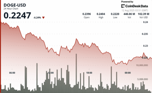 Sharp 7% drop sends doge toward 22 cents support on high volume selloff