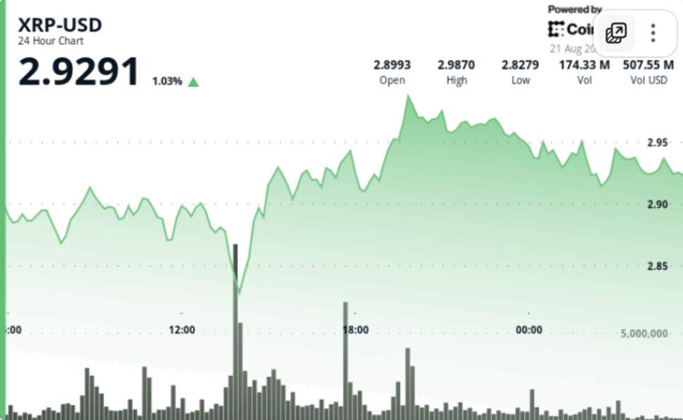 Volume triples daily average as xrp bulls battle $3 resistance