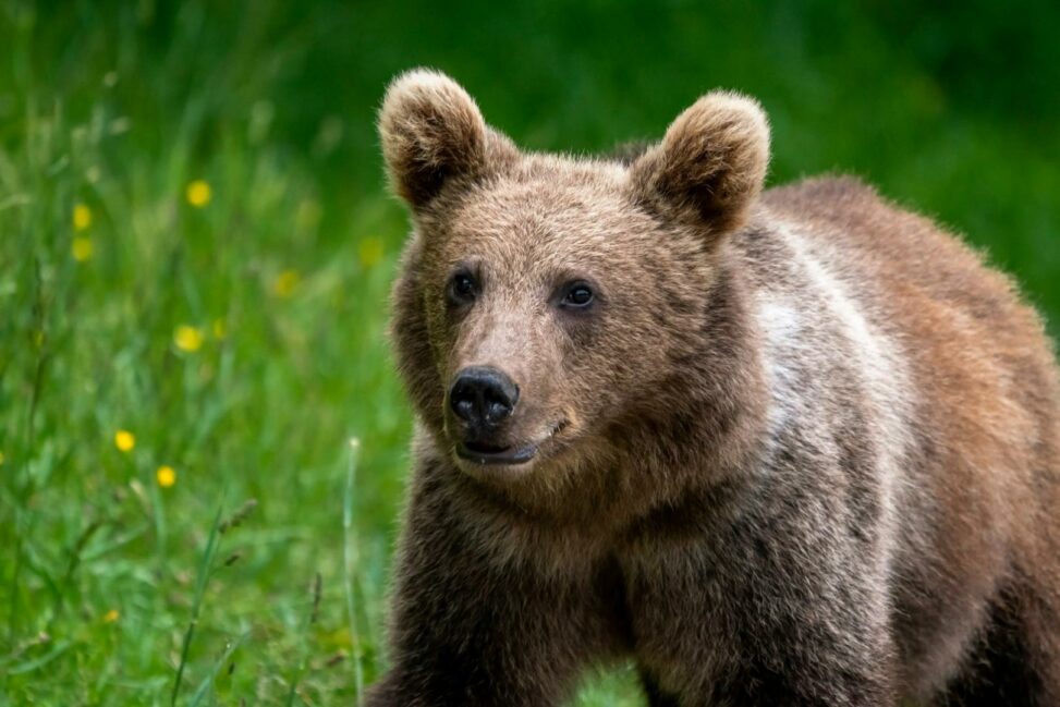 Top crypto traders flip bearish on btc, eth in major sentiment shift