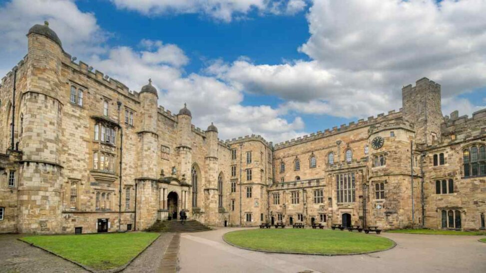 Uk universities explore merging language courses as enrolment falls