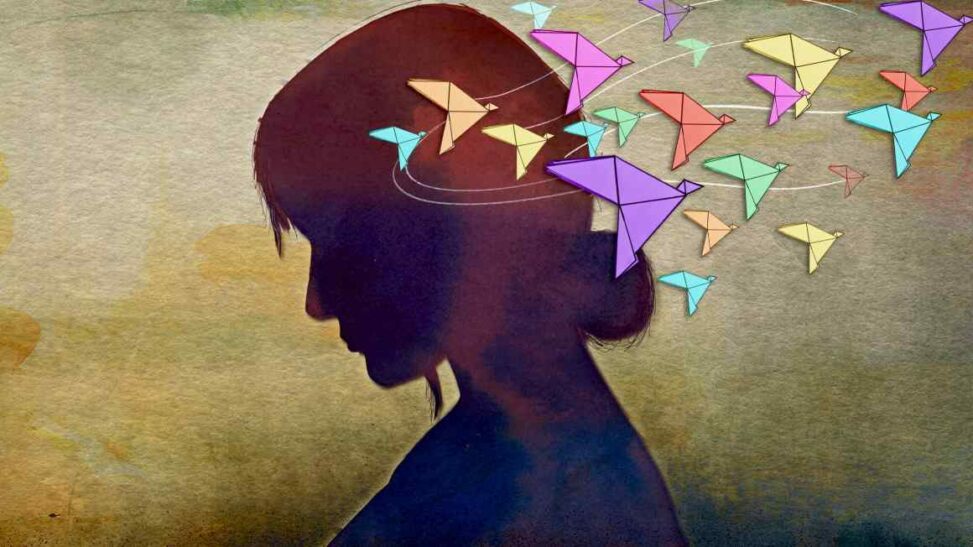 The big picture on alzheimer’s is missing the smaller pieces 