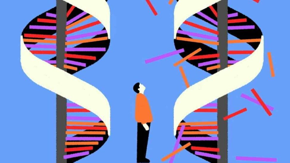 The race to stop mirror organisms