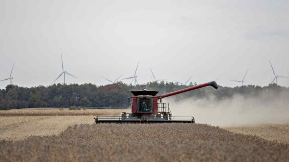 Trump urges china to buy more us soyabeans as trade truce deadline looms