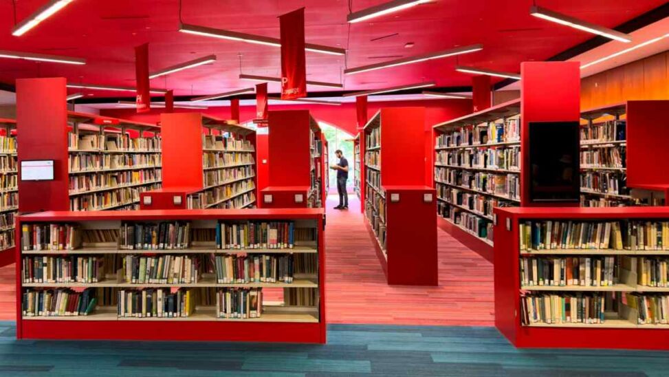 The lamentable decline of reading