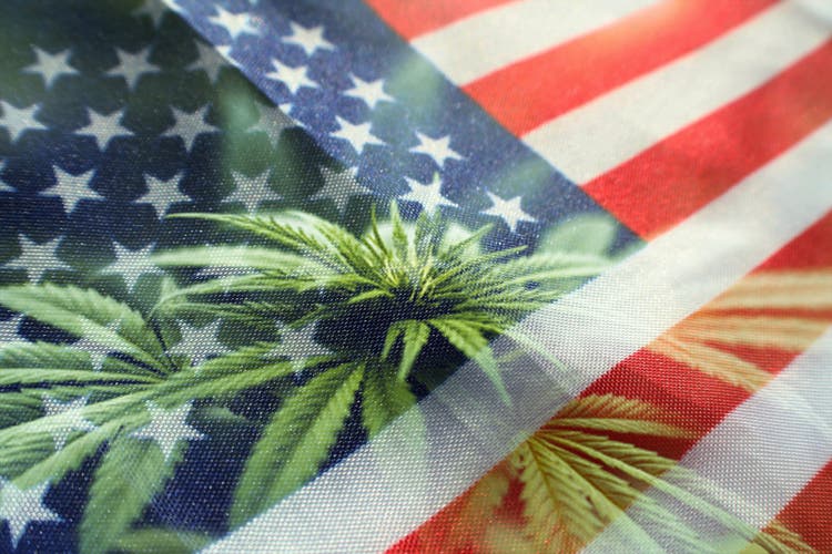 Democratic legislators file bill to legalize cannabis in the u.s.