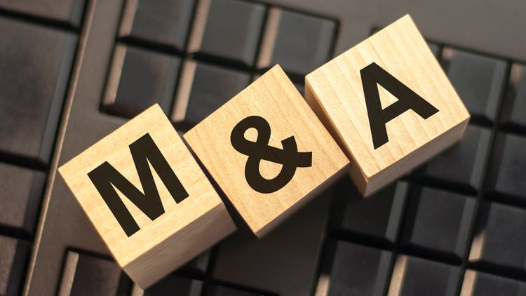 Sa roundtable: which companies are likely to be acquired soon?