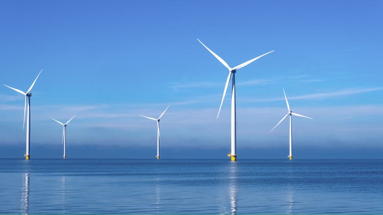 Dominion energy drops as trump wind policies seen endangering huge offshore virginia project