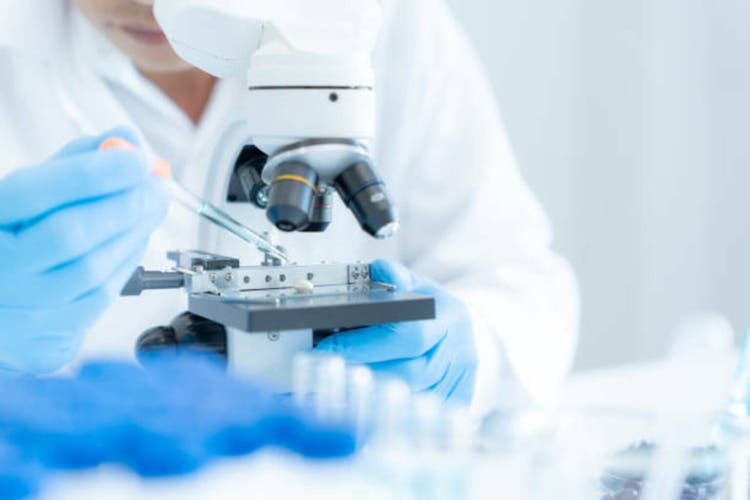 Celldex slides after barzolvolimab hits target but fails to improve eoe symptoms in phase 2 trial