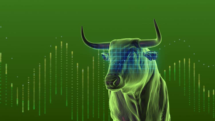 Ai bull market still has ‘another 2 4 years left’ – intelligent alpha