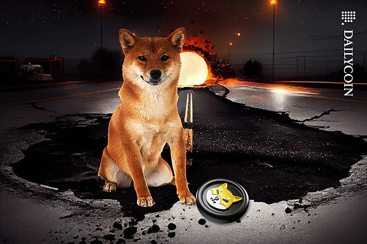 Shib price spikes 9% as 85m shib tokens get burned in one go