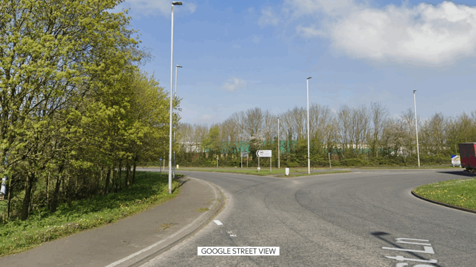 Six injured after dog attacks