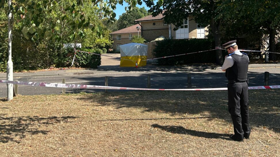 Three arrested after death of woman 'in her twenties' in east london