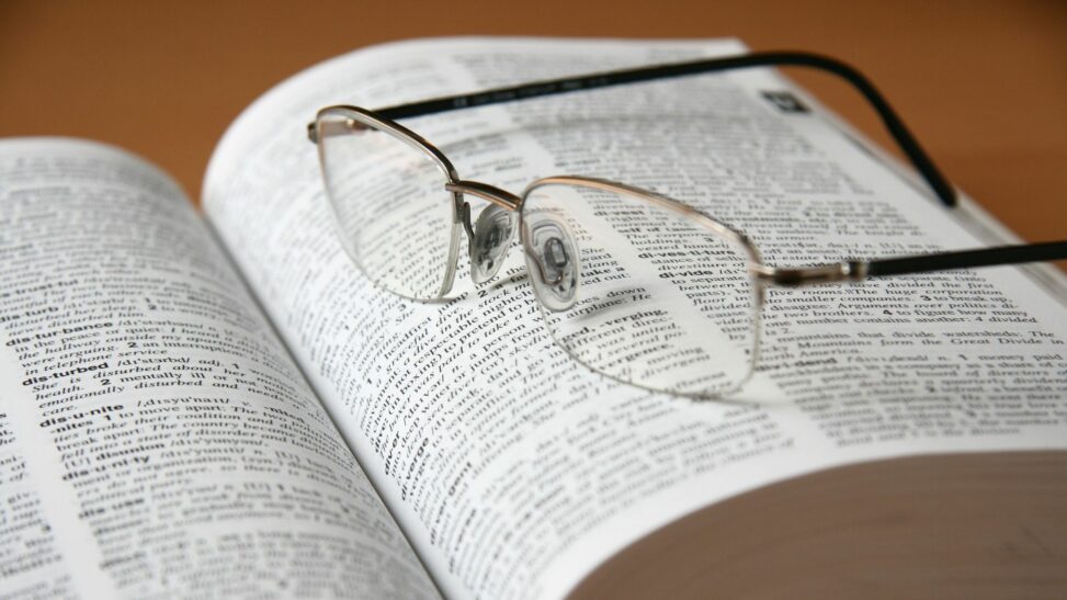 'tradwife', 'delulu' and 'skibidi' among new words added to dictionary